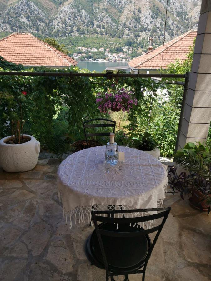 Studio with Terrace and Garden View,1008260230:JPEG