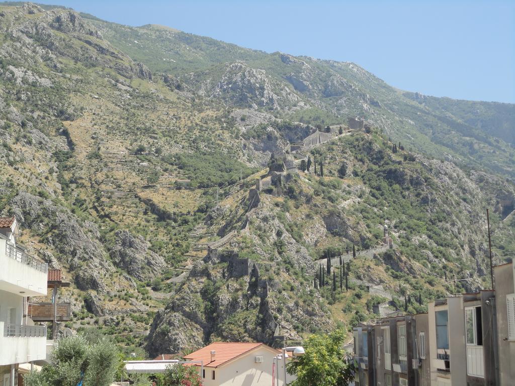 Studio,392754792:JPEG