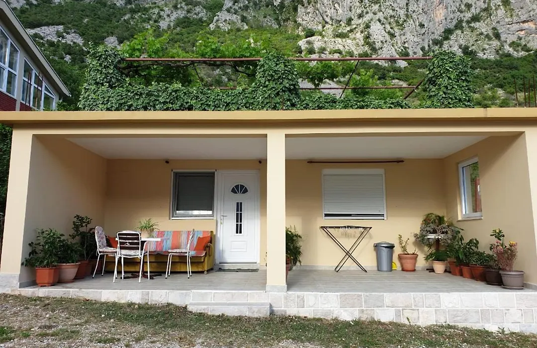 Apartment Jelena-1