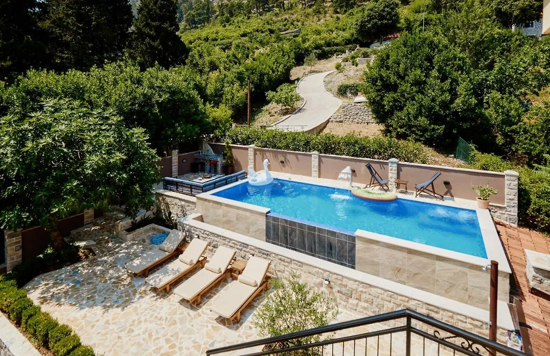 Laurus Lux-1