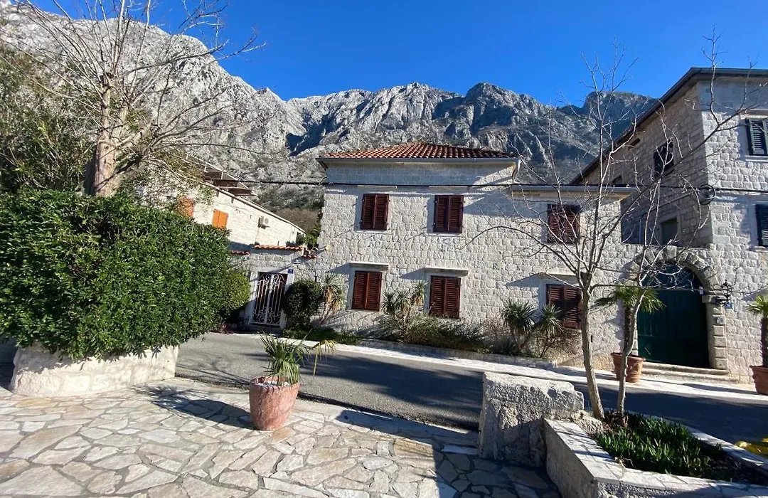 Casa Pasinovic-1