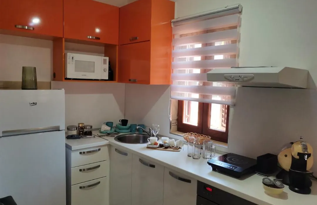 Duplex Apartman Lazaro-1