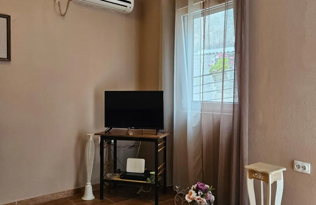 Apartment Aleksandar-1
