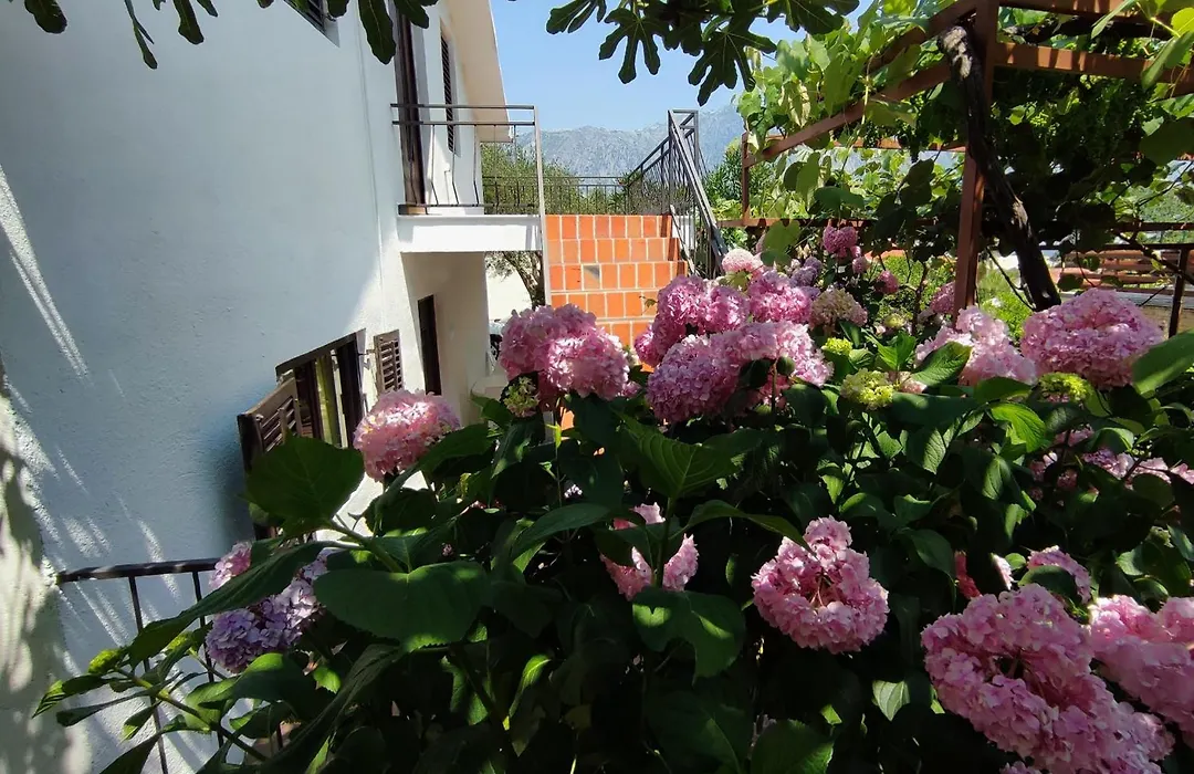 Holiday House In The Kotor Bay-1