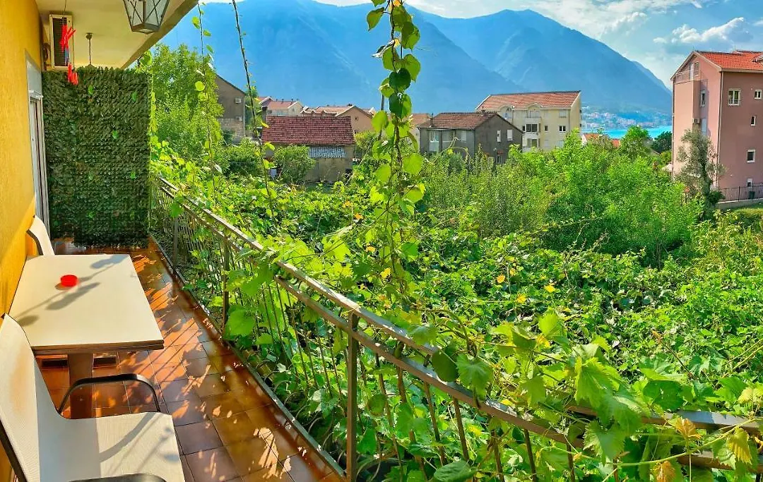 Apartments Jovana-1