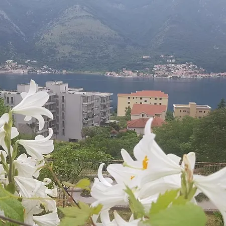 Apartment Jelena-3