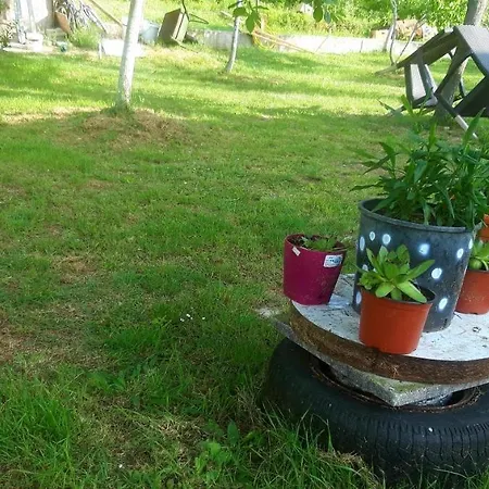 Apartman Pavle-3