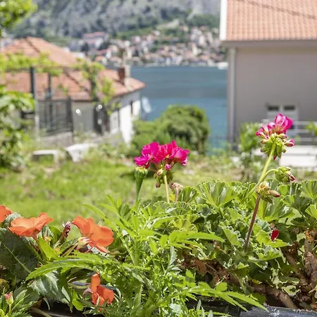 Muo Sea Front Apartments Kotor-2
