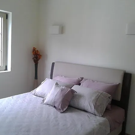 Vedrina-2