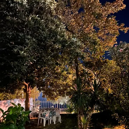 Lemon Tree Villa-2