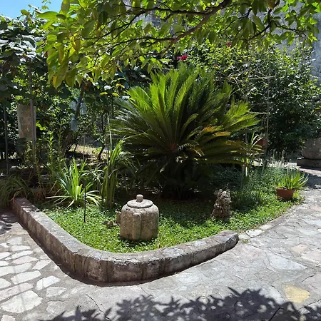 Apartment Pinebreeze - Prcanj - Kotor-2