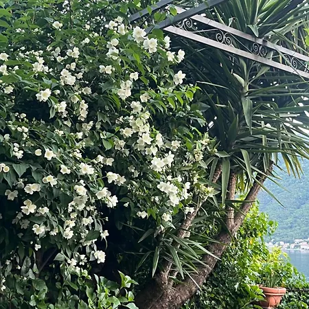Be Happy In Perast-2