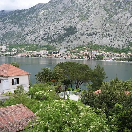 Apartmani Mizdrak-2