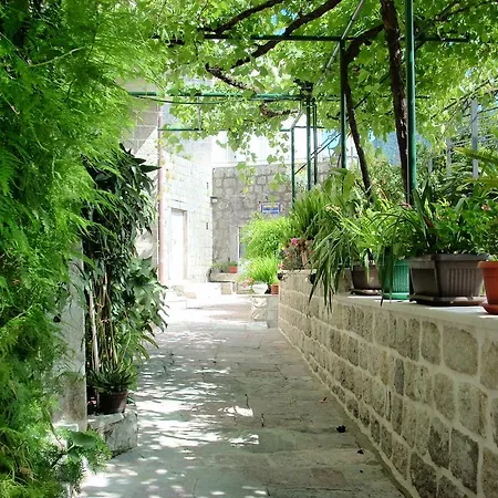 Guest House Dragutinovic-2