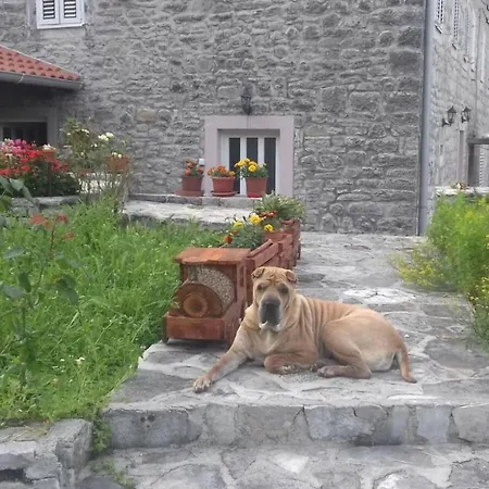 Guest House Maza-2