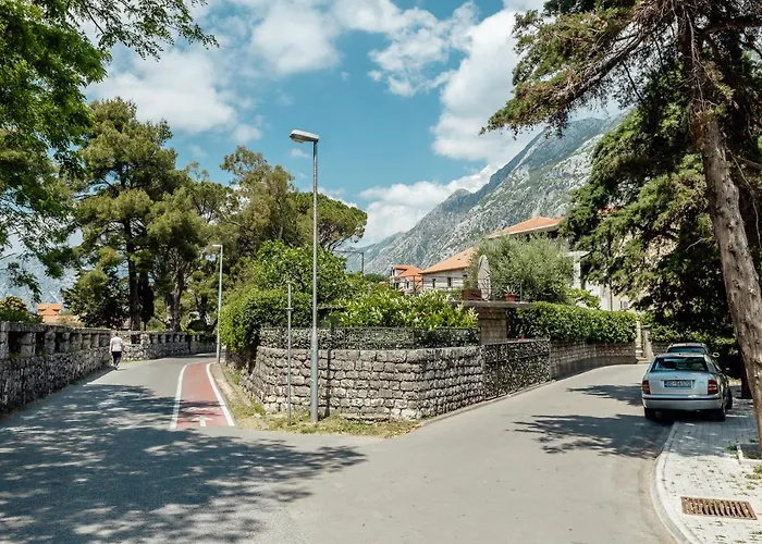 Pet friendly Apartments Dabinovic Kotor