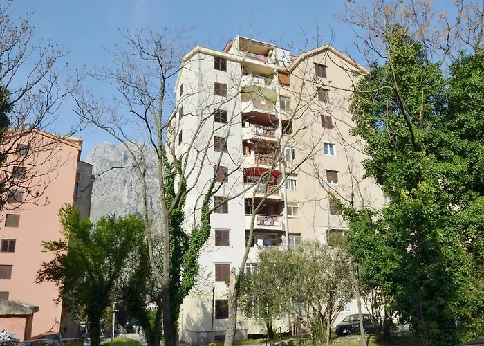 Sofia Apartment In Cattaro che accetta animali