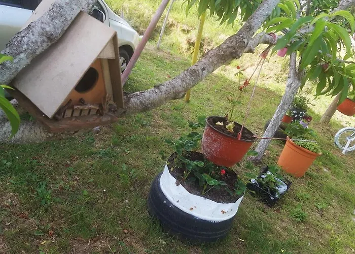Apartman Pavle Appartamento Cattaro che accetta animali