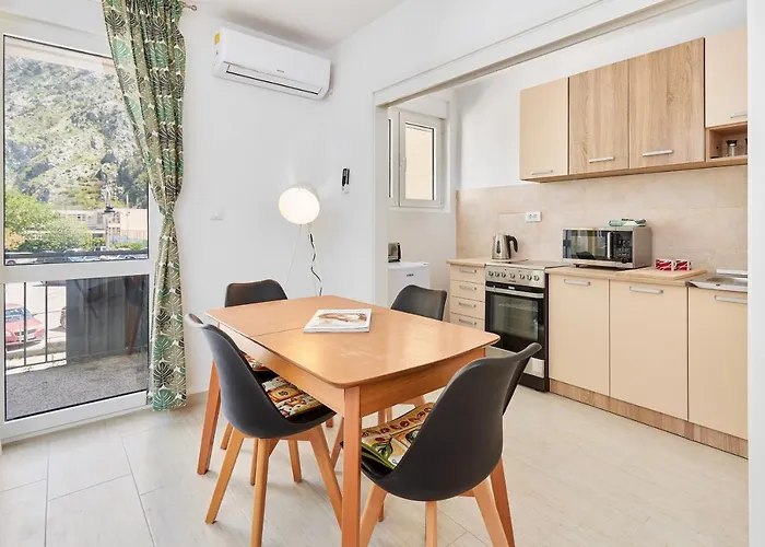 Apartment Pavle Kotor