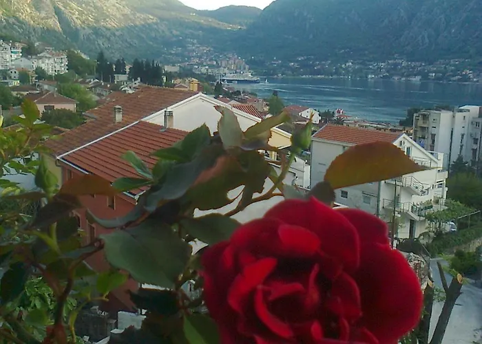 Apartment Aki Kotor