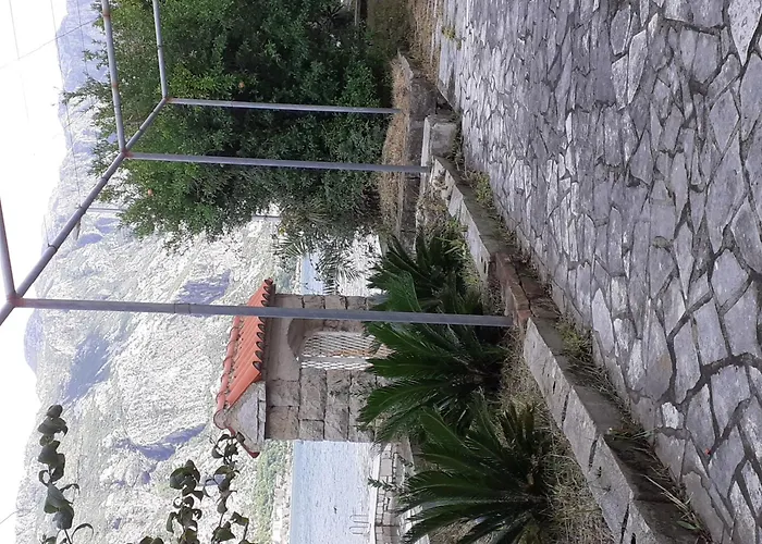 Pet friendly Apartment Tri Palme Kotor