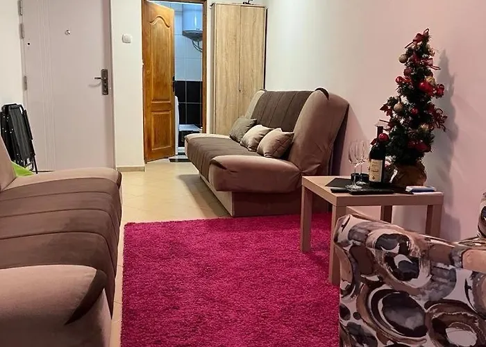 Pet friendly Apartman Milena 1 Kotor