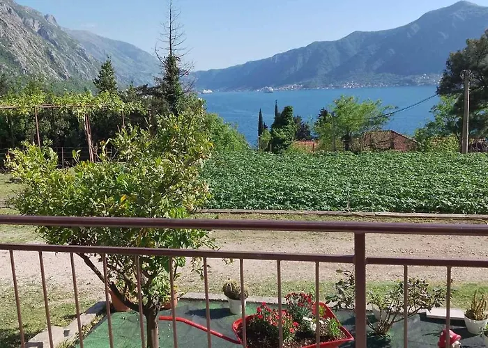 B & M Apartments Kotor