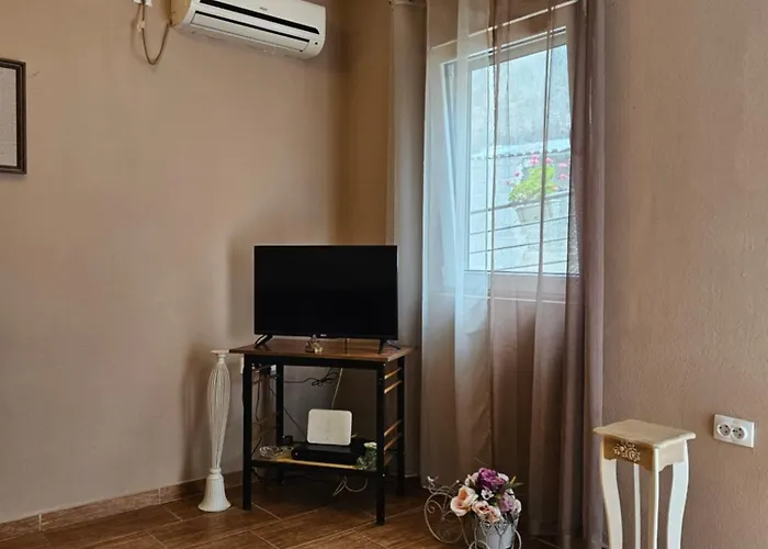 Haustierfreundliches Apartment Aleksandar Kotor
