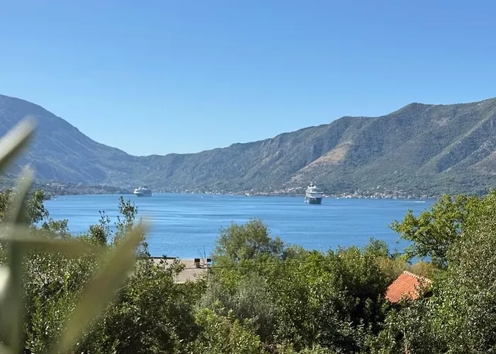 Kovacevic Apartments Kotor