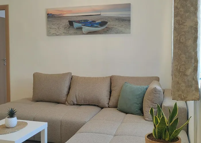 Pet friendly Apartments Andrea Kotor