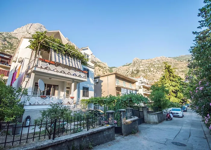 Haustierfreundliches Apartment Kiwi Kotor