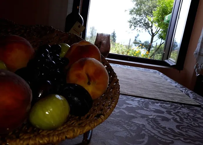 Pet friendly Apartments Vukotic Kotor