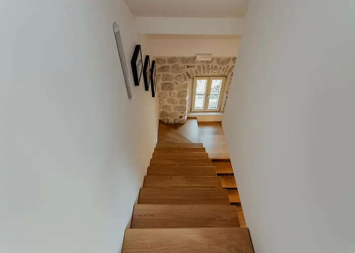 Magnolia apartment Cattaro